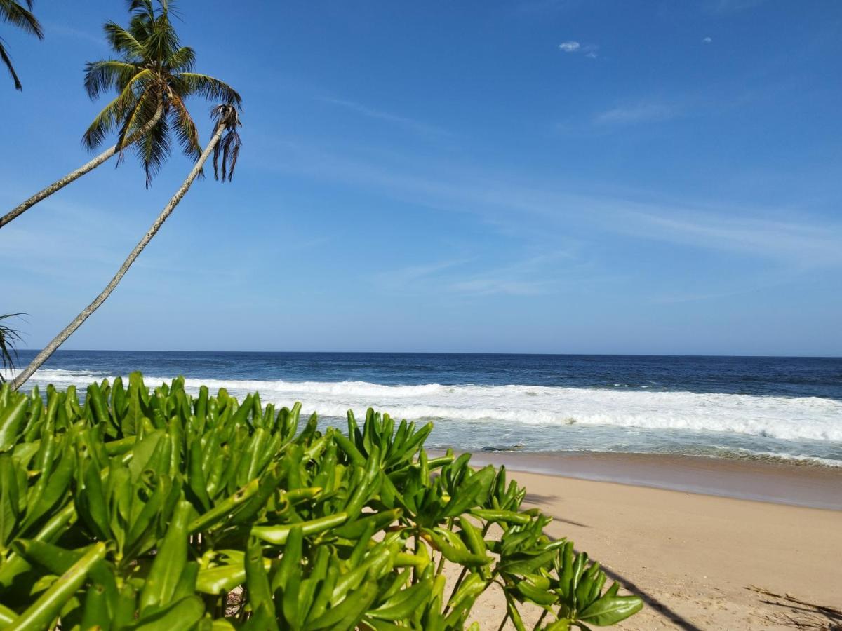 Tropical Garden Apartment Tangalle Ngoại thất bức ảnh