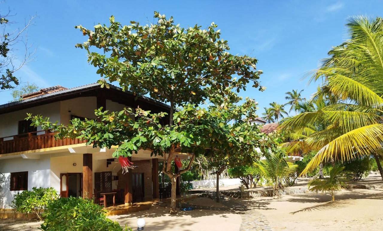 Tropical Garden Apartment Tangalle Ngoại thất bức ảnh